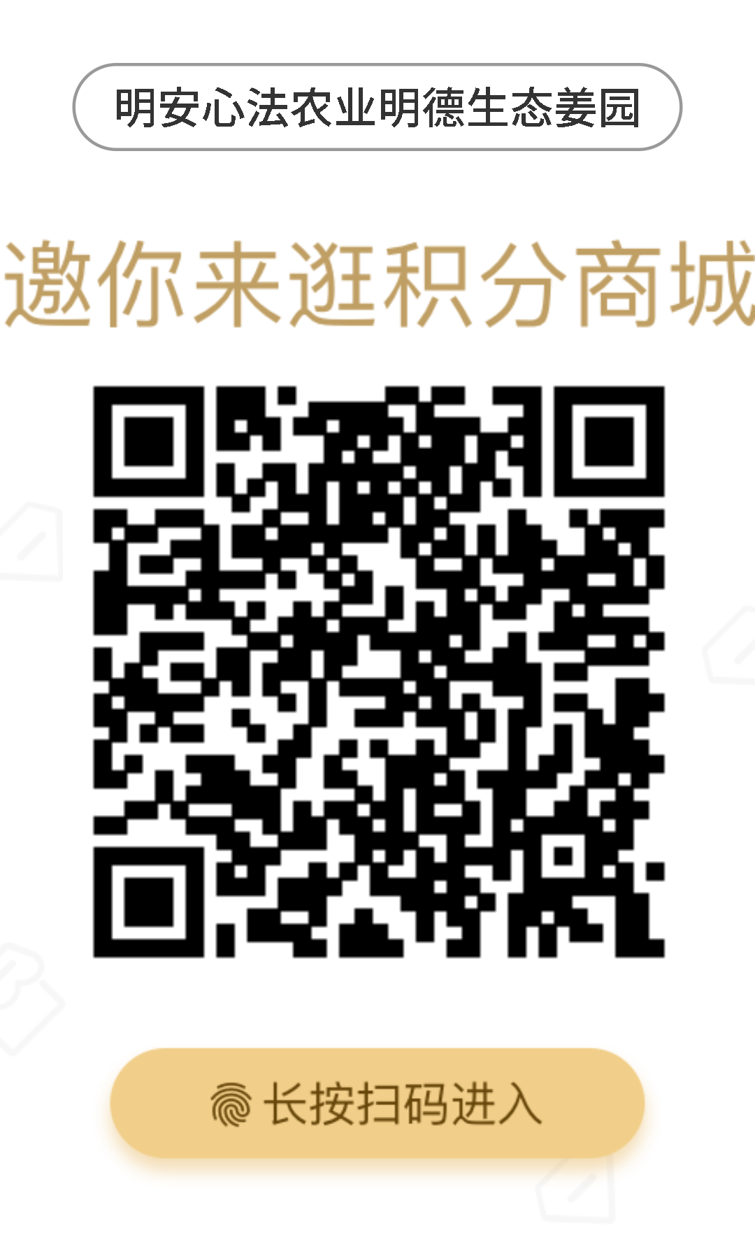 九月中秋套装好礼!送人参酒!中秋快乐!生姜 大米优惠“卷” 经济下行送劵