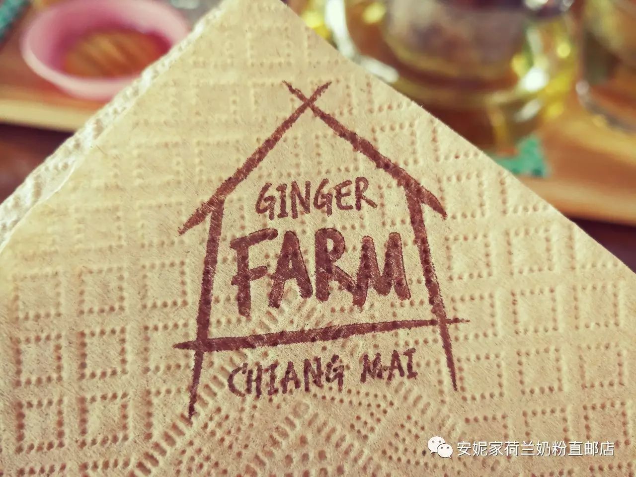 【清迈】GINGER FARM里的泰国农家乐，可以举办生日趴体，10月份假期日托班信息在贴底