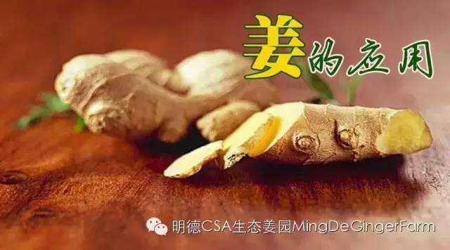 2021生姜养生-姜粉及姜汤的家庭保健使用方法应用集 2021.1更新版 2021生姜养生-姜粉及姜汤的家庭保健使用方法应用集 2021.1更新版