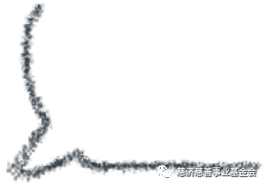 【每日蔬食】锦囊豆腐煲 【每日蔬食】锦囊豆腐煲