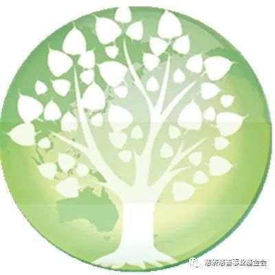 【每日蔬食】锦囊豆腐煲 【每日蔬食】锦囊豆腐煲