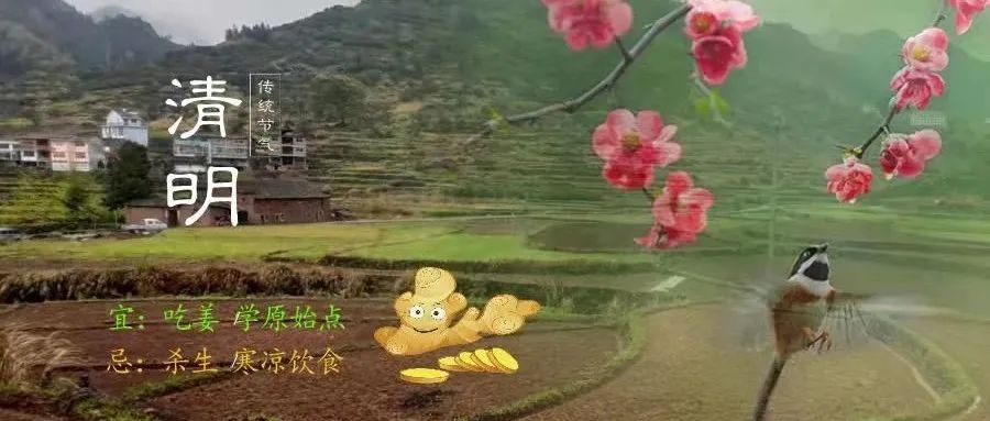 姜/薑：果珍李柰 菜重芥薑。许慎《说文》，《齐民要术》“种姜”