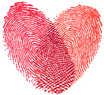 【鹃城社工-喜安站点】喜安社区志愿者队伍急救知识培训活动 【鹃城社工-喜安站点】喜安社区志愿者队伍急救知识培训活动