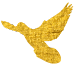 【鹃城社工-喜安站点】喜安社区志愿者队伍急救知识培训活动 【鹃城社工-喜安站点】喜安社区志愿者队伍急救知识培训活动