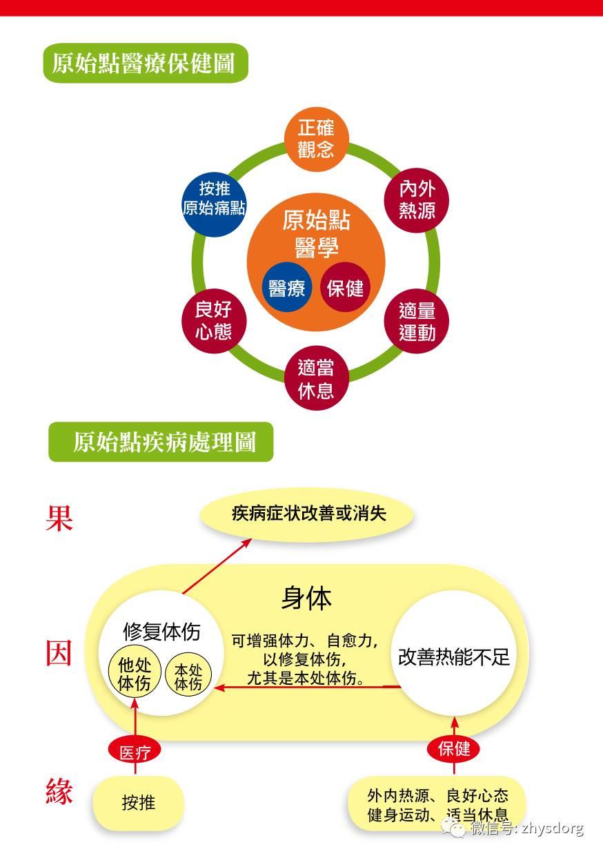 原始点生命健康学习班 暑期 理论 手法提升班 (纯公益 全免费）