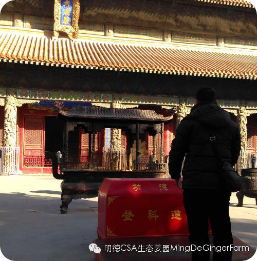 明德CSA姜园 山东圣城曲阜祀天 明德CSA姜园 山东圣城曲阜祀天