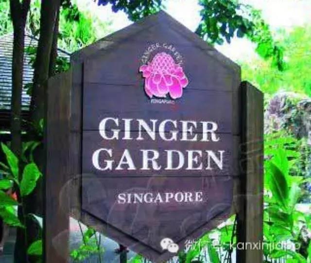 【新加坡眼】到新加坡姜園看姜花、喝姜茶、品“姜”-新加坡植物園的姜園內歐式餐館-七不姜 生姜養生網-明德CSA生態姜園&明安農業