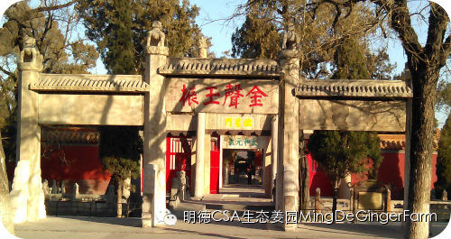 明德CSA姜园 山东圣城曲阜祀天 明德CSA姜园 山东圣城曲阜祀天