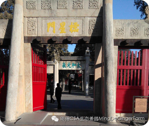 明德CSA姜园 山东圣城曲阜祀天 明德CSA姜园 山东圣城曲阜祀天