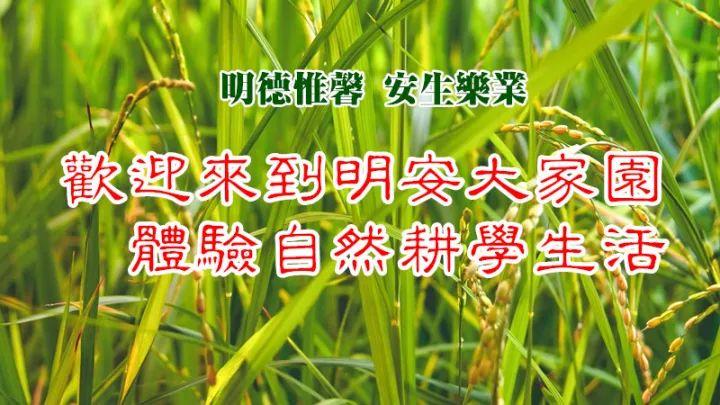 2018年10月心法农业 福田心耕 明德薑园秋收感恩节邀请函（浙江仙居 11.18-11.25）