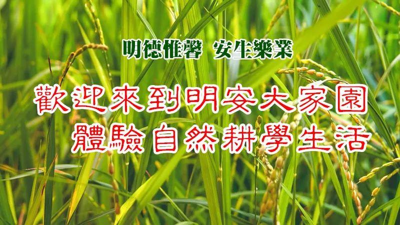 2019年浙江仙居 7月8月 儿童青少年国学耕读夏令营 招生 -自然 生态 乐和 健康