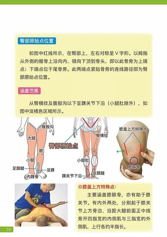 《原始点医学》 (2019年12月第16版)