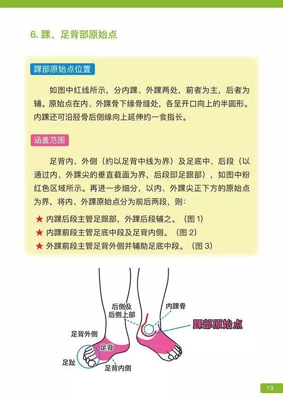 《原始点医学》 (2019年12月第16版)