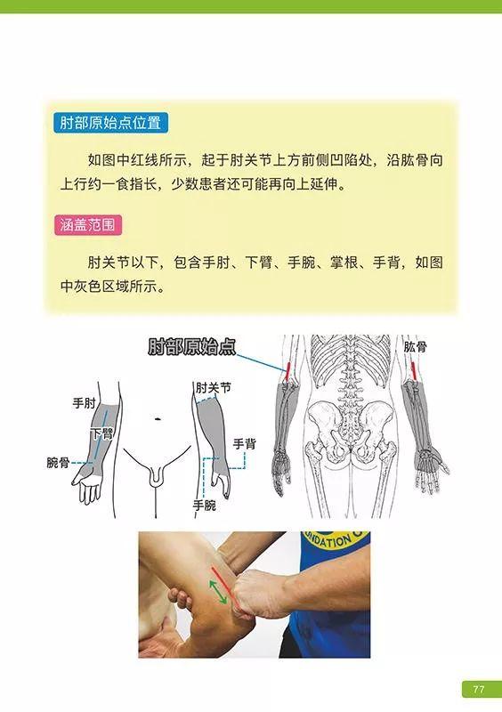 《原始点医学》 (2019年12月第16版)