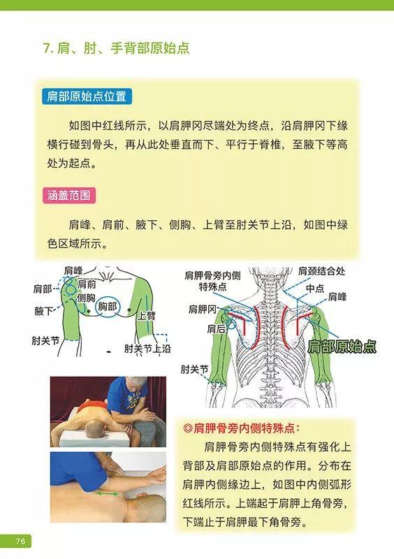 《原始点医学》 (2019年12月第16版)