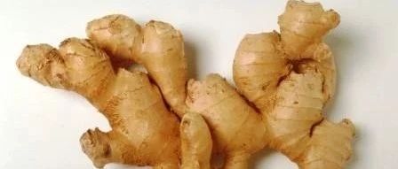 除了《紅樓夢》中的法制紫姜，紫姜和生姜鮮姜還有很多做法-七不姜 生姜養生網-明德CSA生態姜園&明安農業