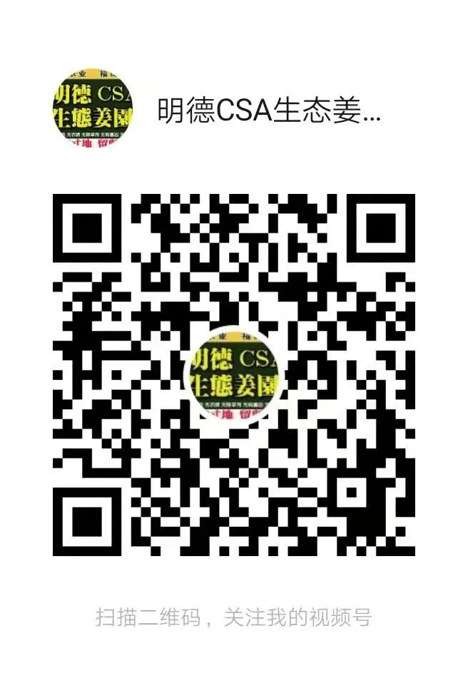 姜灌肠姜栓10粒 原始点热源(姜汤姜粉泥灌肠的补充)热源直达患处体伤 七不姜粉+栓剂基质辅料及生姜养生 姜的应用视频集 姜灌肠姜栓10粒 原始点热源(姜汤姜粉泥灌肠的补充)热源直达患处体伤 七不姜粉+栓剂基质辅料及生姜养生 姜的应用视频集