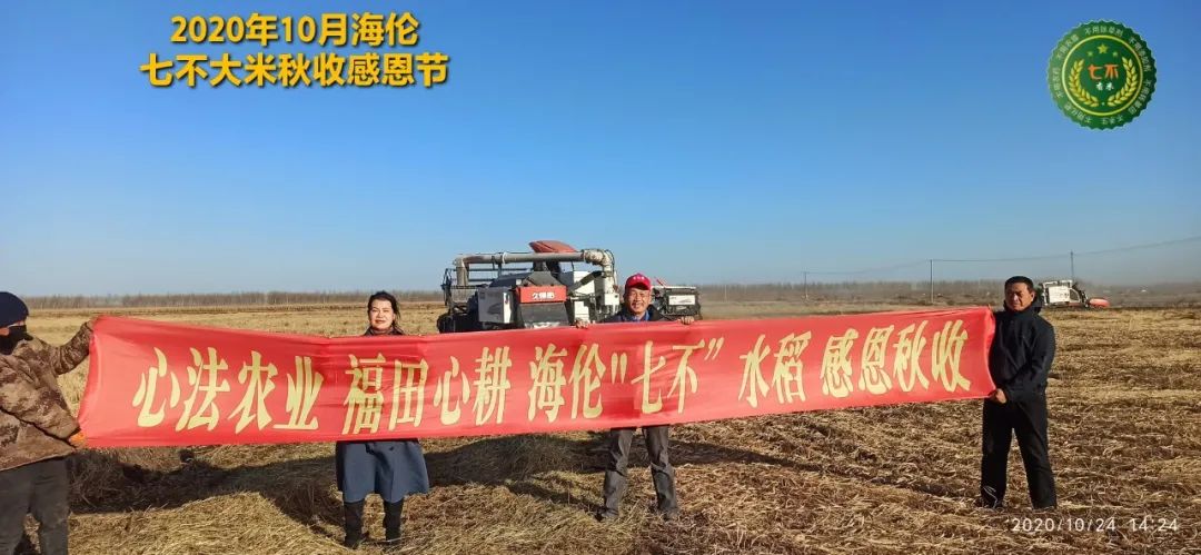 【海伦七不水稻秋收报恩健康行】海伦寒地黑土七不香稻秋收采风 2020.10.24