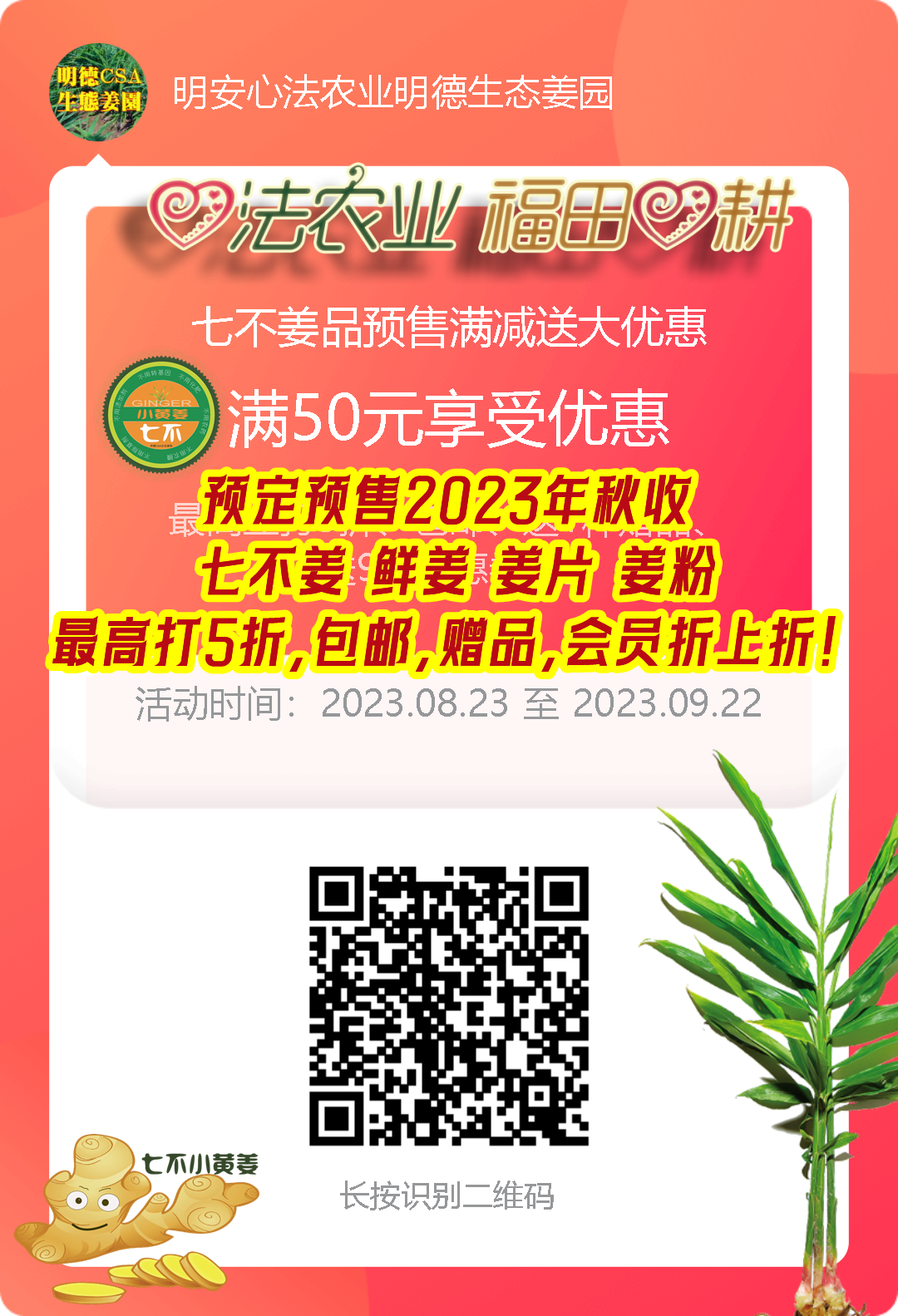 中秋国庆 七不姜赞歌-浙江仙居 七不小黄姜 鲜嫩姜 新鲜 上市现采现发；秋收水稻大米预售特惠 送七不自酿会员定制白酒中秋赠品