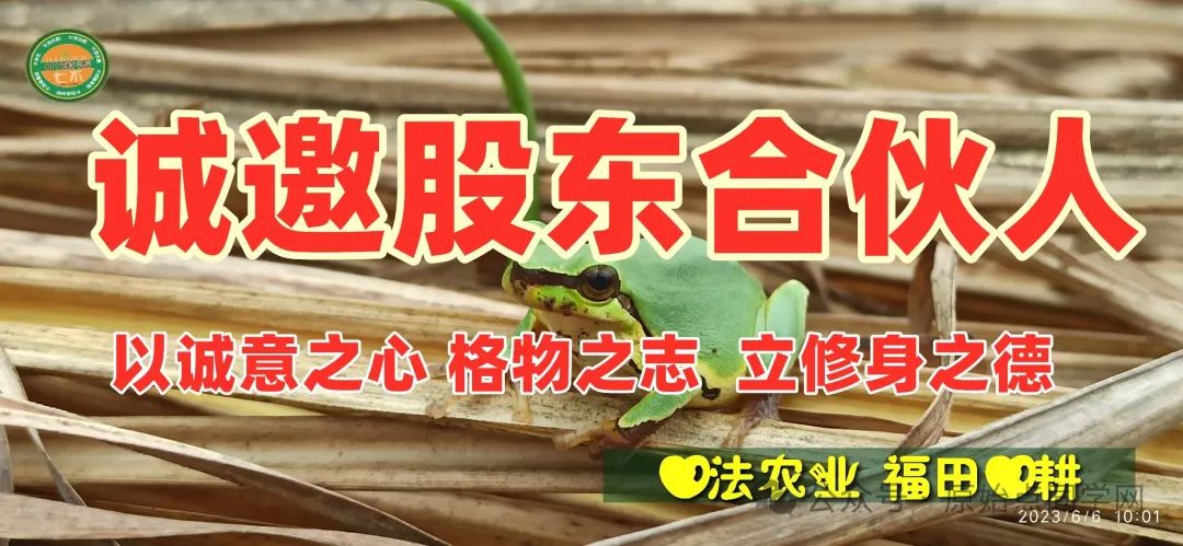 (广告)双12特惠促销 庆祝七不姜秋收完成