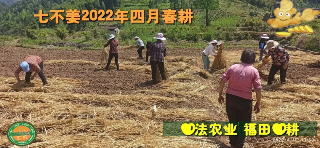 七不姜2022年四月春耕图