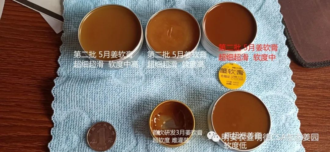 姜膏，姜软膏的介绍 应用情景41个案例和研发2022年9月