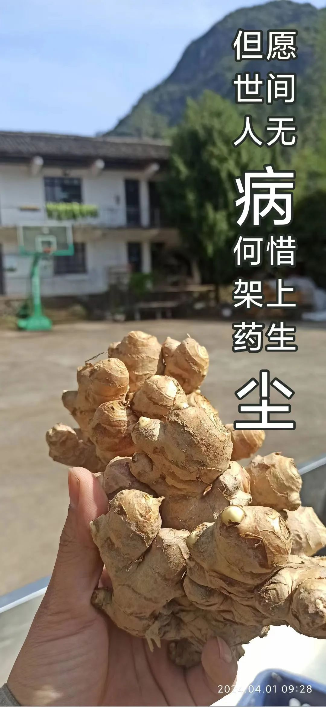 九月中秋套装好礼!送人参酒!中秋快乐!生姜 大米优惠“卷” 经济下行送劵