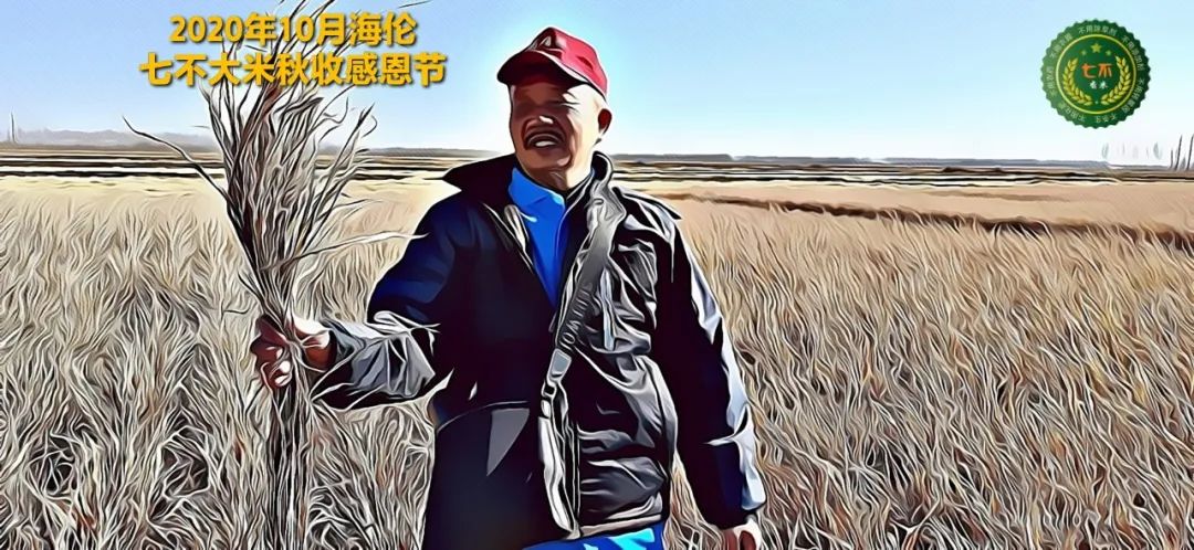 【海伦七不水稻秋收报恩健康行】海伦寒地黑土七不香稻秋收采风 2020.10.24