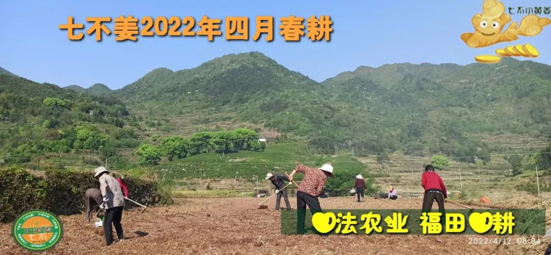 七不姜2022年四月春耕图