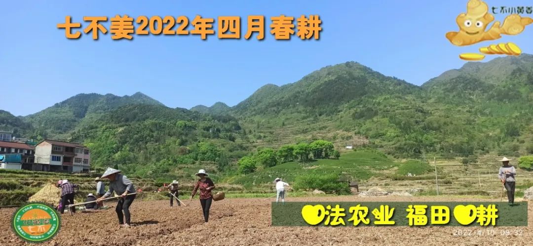 七不姜2022年四月春耕图