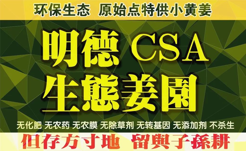 双11活动 特惠套装 浙江仙居 七不小黄姜 鲜姜 新上市 现发 生态自然 明安心法农业