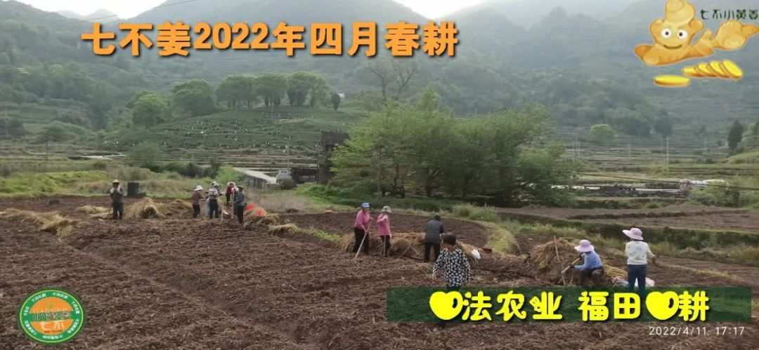 七不姜2022年四月春耕图