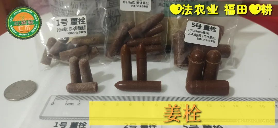 姜灌肠姜栓10粒 原始点热源(姜汤姜粉泥灌肠的补充)热源直达患处体伤 七不姜粉+栓剂基质辅料及生姜养生 姜的应用视频集 姜灌肠姜栓10粒 原始点热源(姜汤姜粉泥灌肠的补充)热源直达患处体伤 七不姜粉+栓剂基质辅料及生姜养生 姜的应用视频集