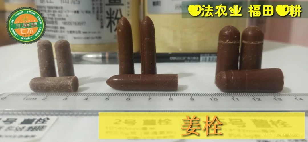 姜灌肠姜栓10粒 原始点热源(姜汤姜粉泥灌肠的补充)热源直达患处体伤 七不姜粉+栓剂基质辅料及生姜养生 姜的应用视频集 姜灌肠姜栓10粒 原始点热源(姜汤姜粉泥灌肠的补充)热源直达患处体伤 七不姜粉+栓剂基质辅料及生姜养生 姜的应用视频集