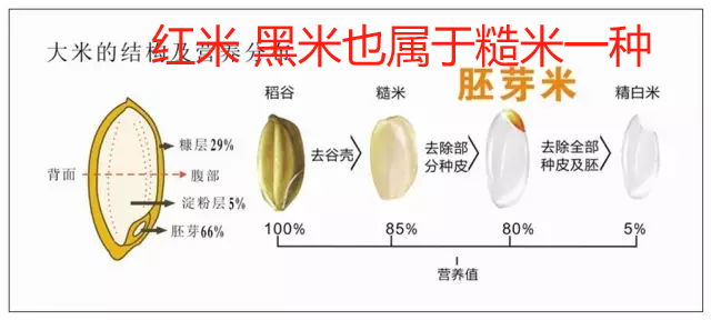 (广告)双12特惠促销 庆祝七不姜秋收完成