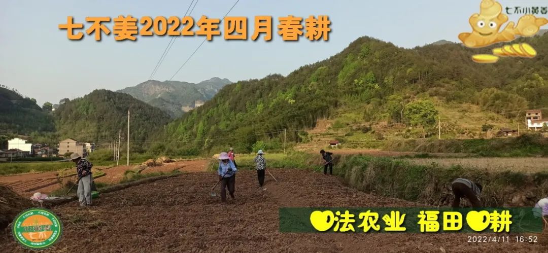 七不姜2022年四月春耕图