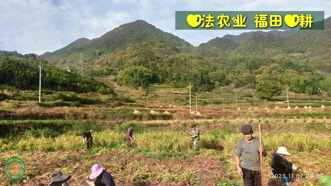 2024年新春福袋 七不姜全家福 礼装 龙重登场´◡` ꒰^ↀωↀ^꒱