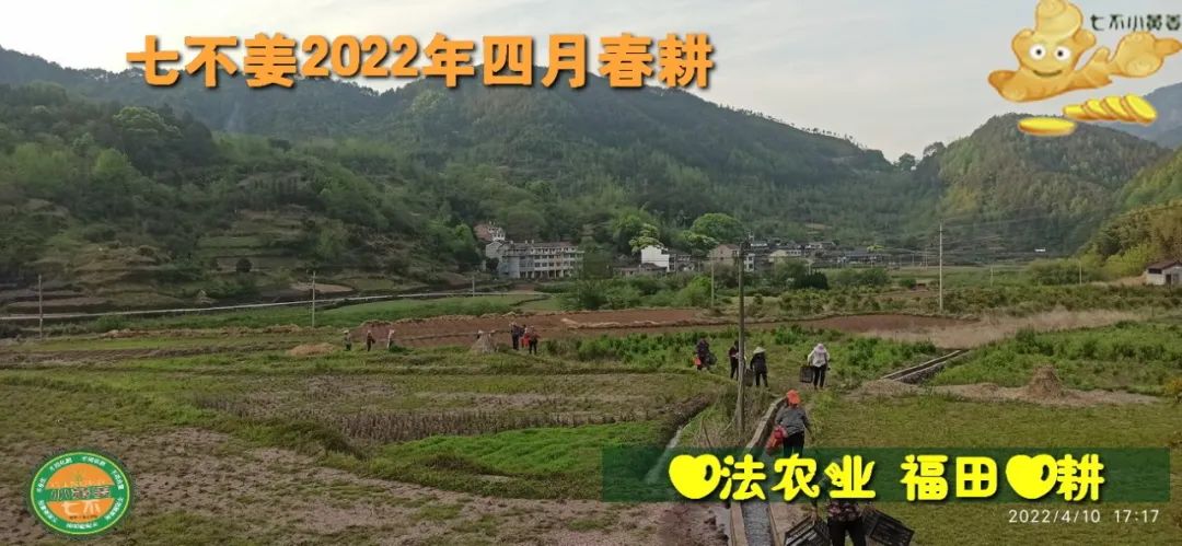 七不姜2022年四月春耕图