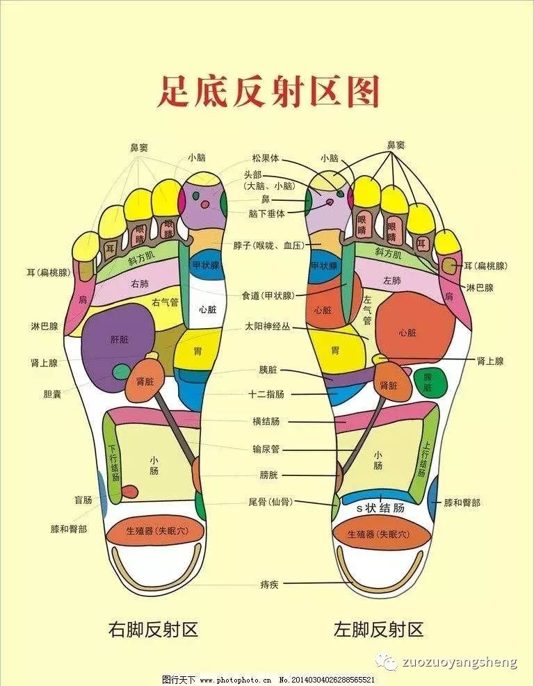 胸闷、害怕而且晚上睡觉噩梦连连，这到底是为什么？需要怎么调理？