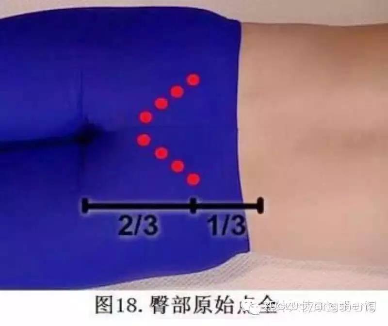 大家都回家过年了吗？看看过年期间原始点老师都遇到了哪些问题？