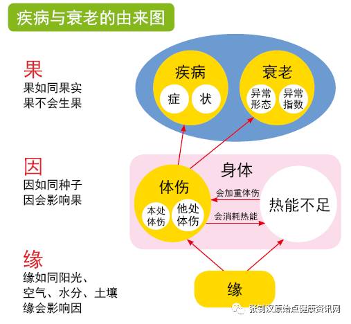 媒体报道-「原始點」道出病痛因緣果