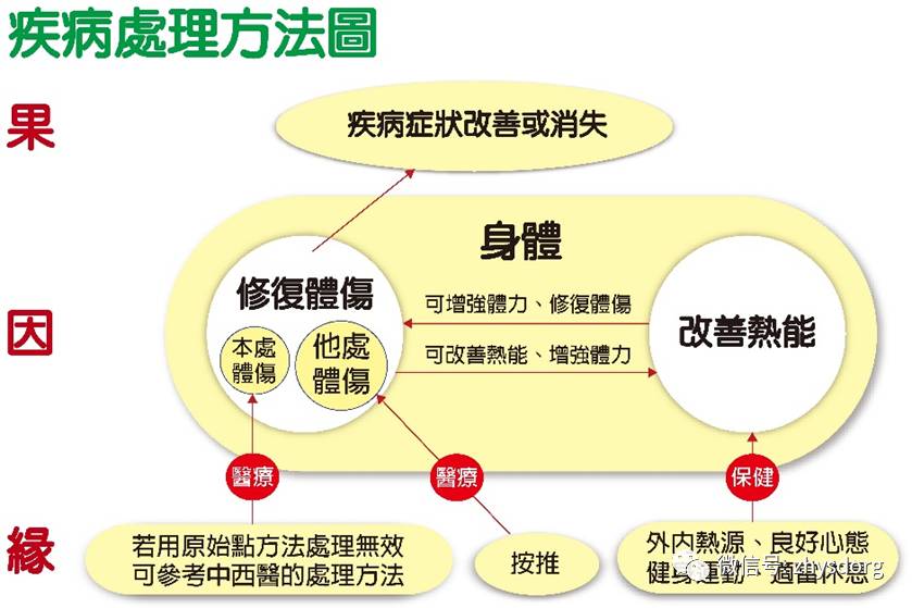 原始点医学在临床上的应用（2/2） 2016年8月