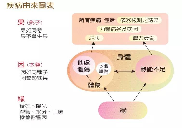 仁心仁术 张钊汉医师传 即原始点研发因缘