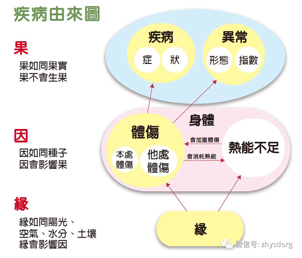 原始点医学在临床上的应用（2/2） 2016年8月