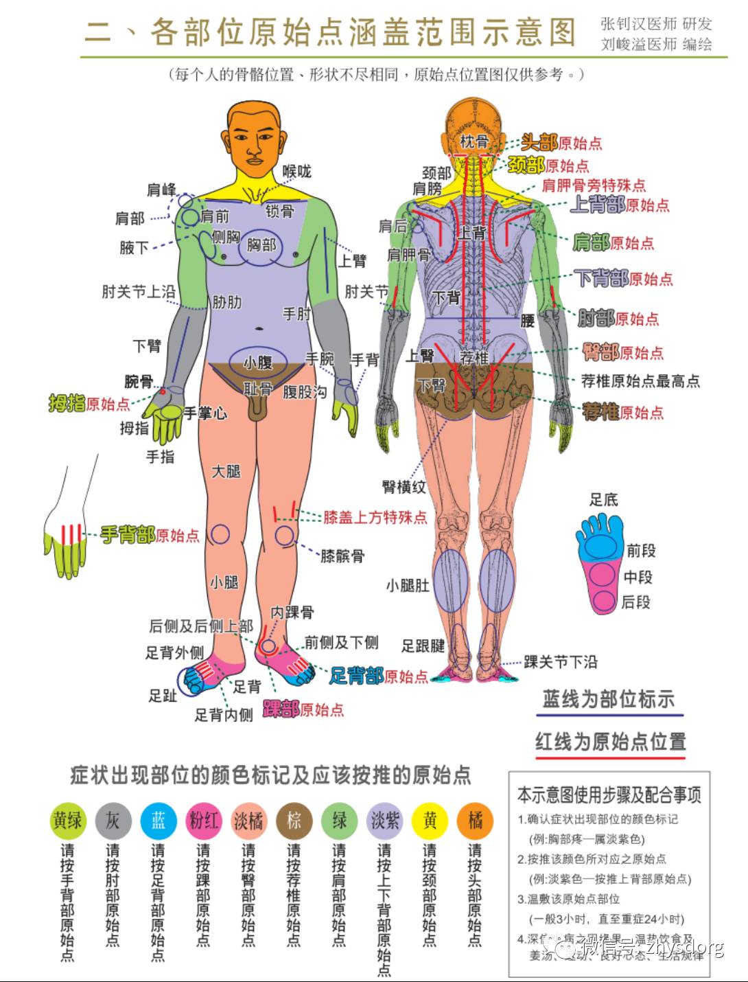 原始点医学在临床上的应用（1/2） 2016年8月