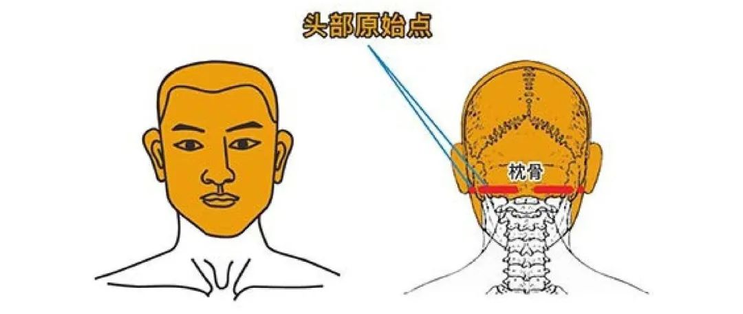 原始点调理案例 | 倒春寒重感冒自我调理