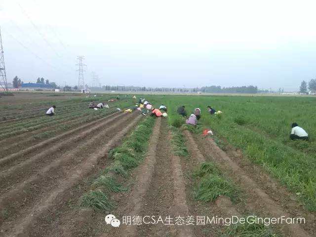 ╭(●｀∀′●)╯╰(●’◡’●)╮就一天！！专属福利 没有套路！原始点同学群8周年 七不小黄姜6周年！特别发行