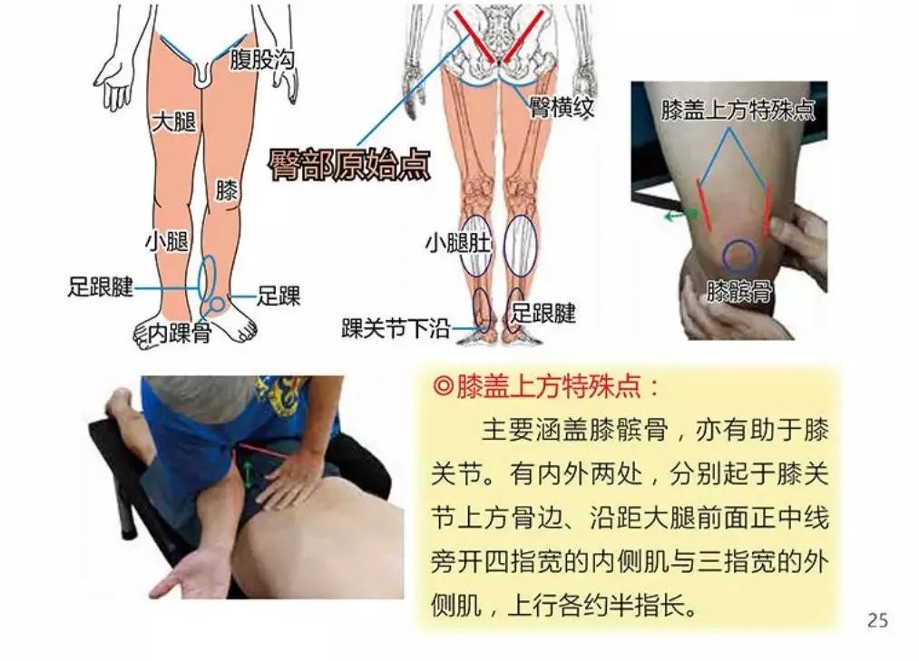 把原始点带回家 孝敬爸妈——腿部案例