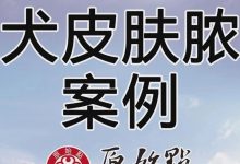 幼犬皮肤脓包案例-原始点全球同学网