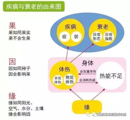 如何学好原始点？